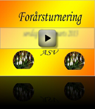 foraarsturnering 2013